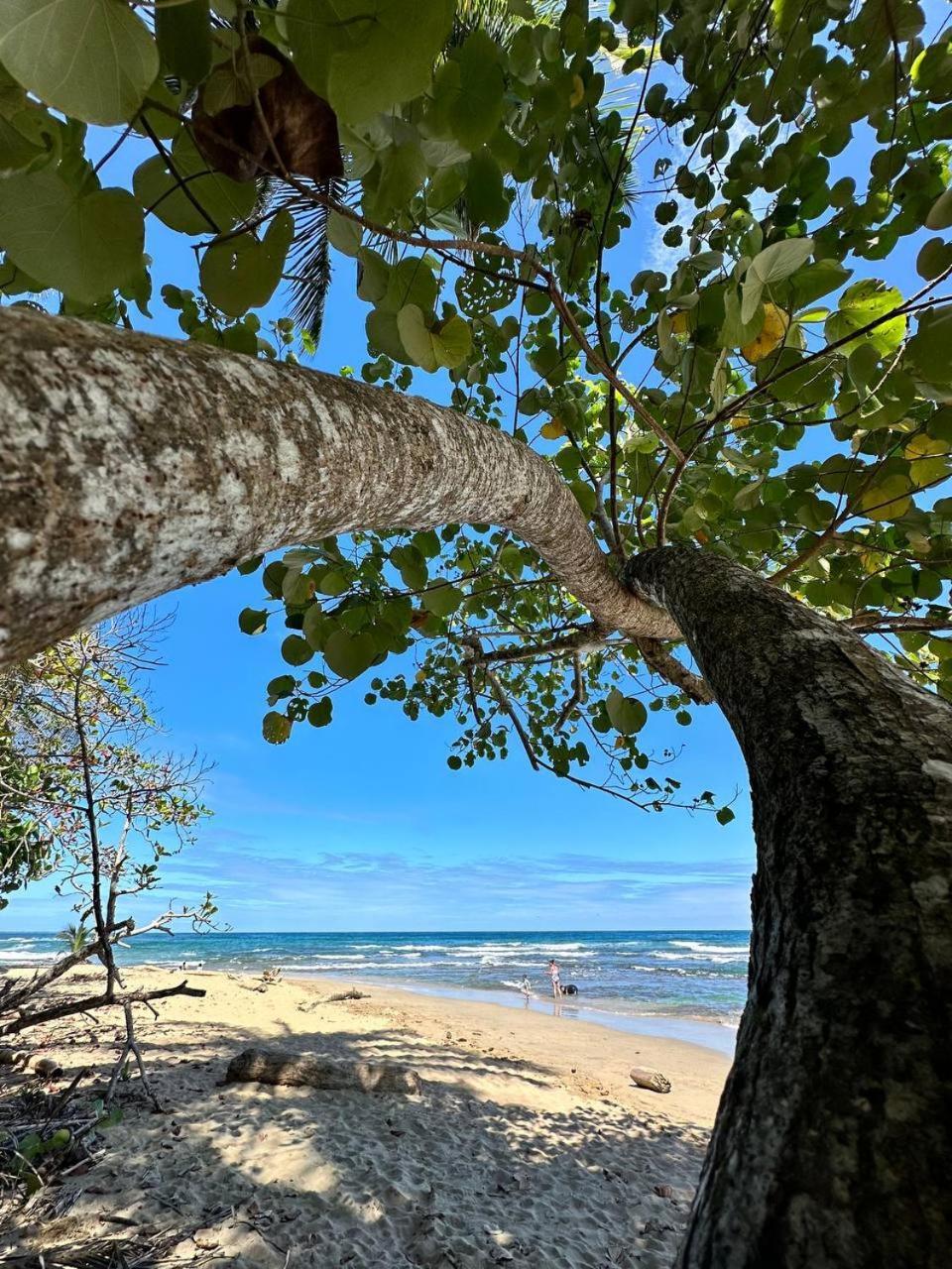 Caribbean Flow Puerto Viejo de Talamanca Zewnętrze zdjęcie